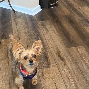 Meet your Posher, Wanda